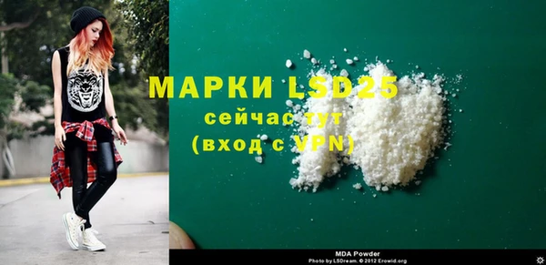 хмурый Алзамай