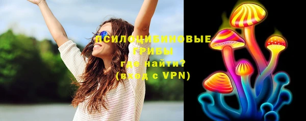 ПСИЛОЦИБИНОВЫЕ ГРИБЫ Алексин