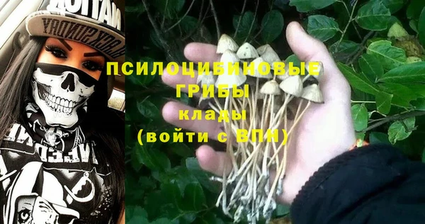 хмурый Алзамай