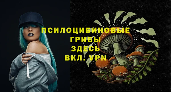 ПСИЛОЦИБИНОВЫЕ ГРИБЫ Алексин
