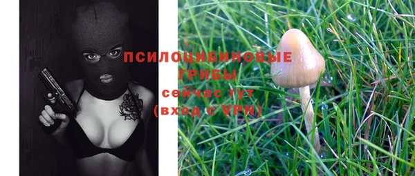 ПСИЛОЦИБИНОВЫЕ ГРИБЫ Алексин