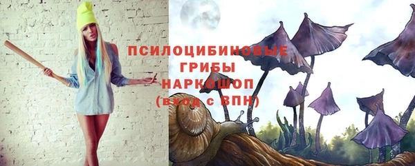 крисы Алексеевка