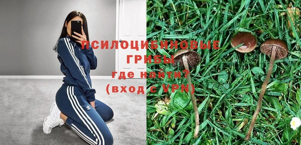 ПСИЛОЦИБИНОВЫЕ ГРИБЫ Алексин