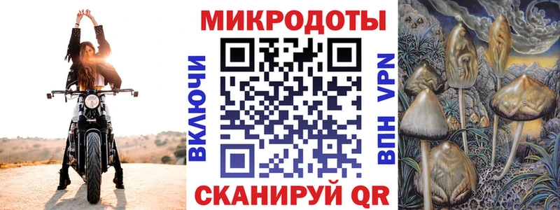 Галлюциногенные грибы Psilocybine cubensis  сколько стоит  Катайск 